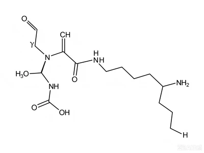 CAS:33932-35-3: Glutathionylspermidin